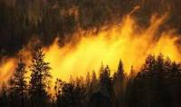 В Сибири пылает 119 тысяч га леса